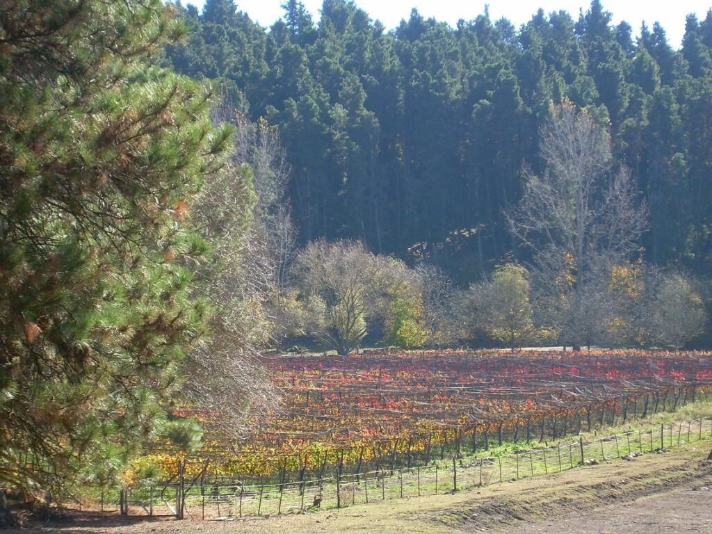 Valle de Calamuchita - Viaje por Argentina y sus vinos