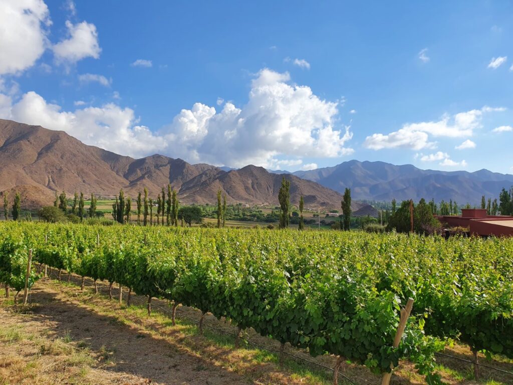 Cachi - Viaje por Argentina y sus vinos