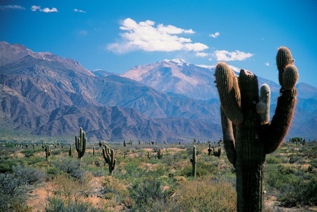 Valles Calchaquíes - Viaje por Argentina y sus vinos